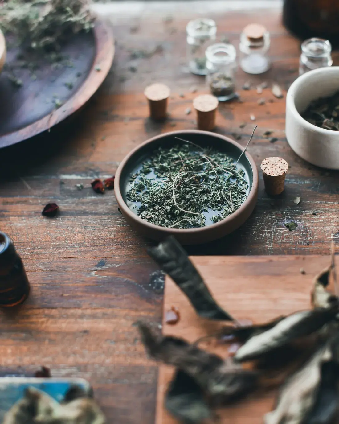 A traditional apothecary arrangement of dried herbs and seeds