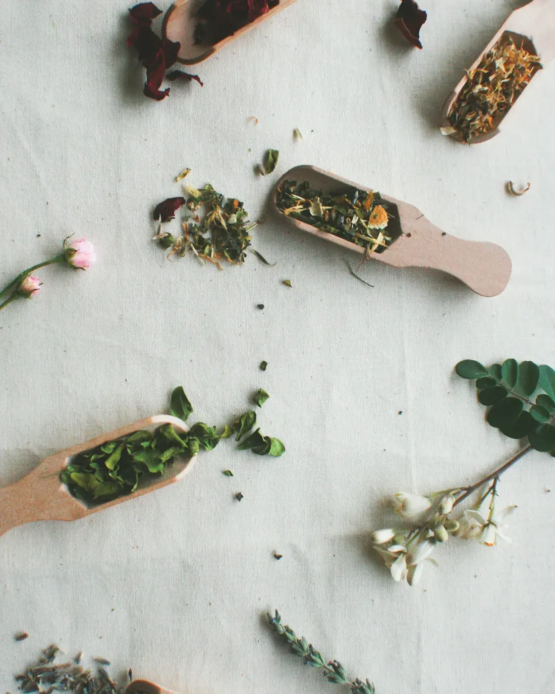 Mixed dried herbs and blossoms in wooden spoons on linen