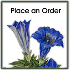 Place an order